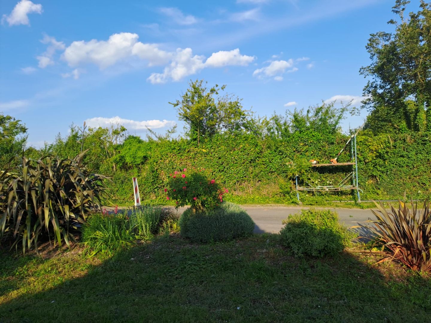 entretien-espace-vert (1)