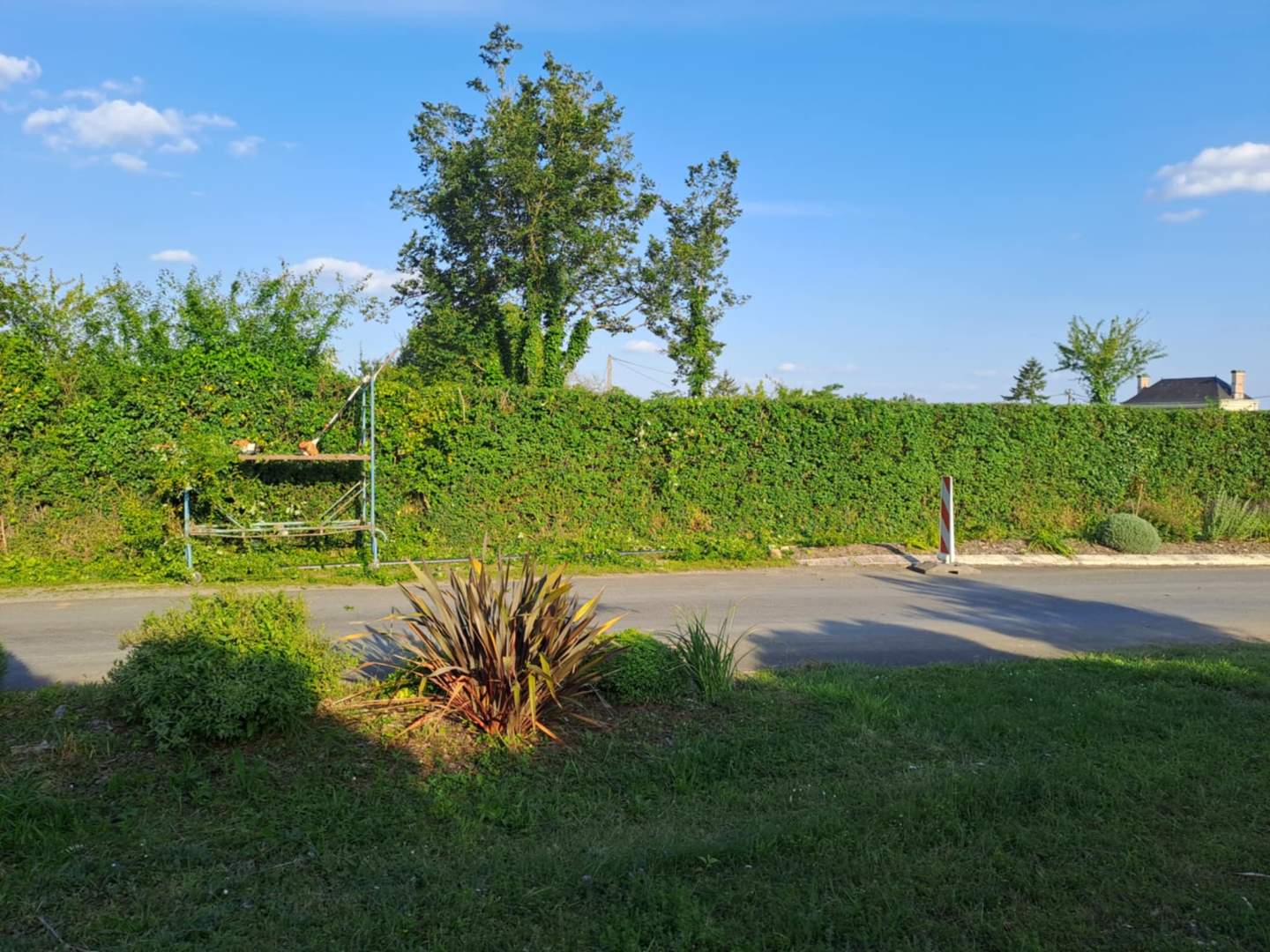 entretien-espace-vert (2)