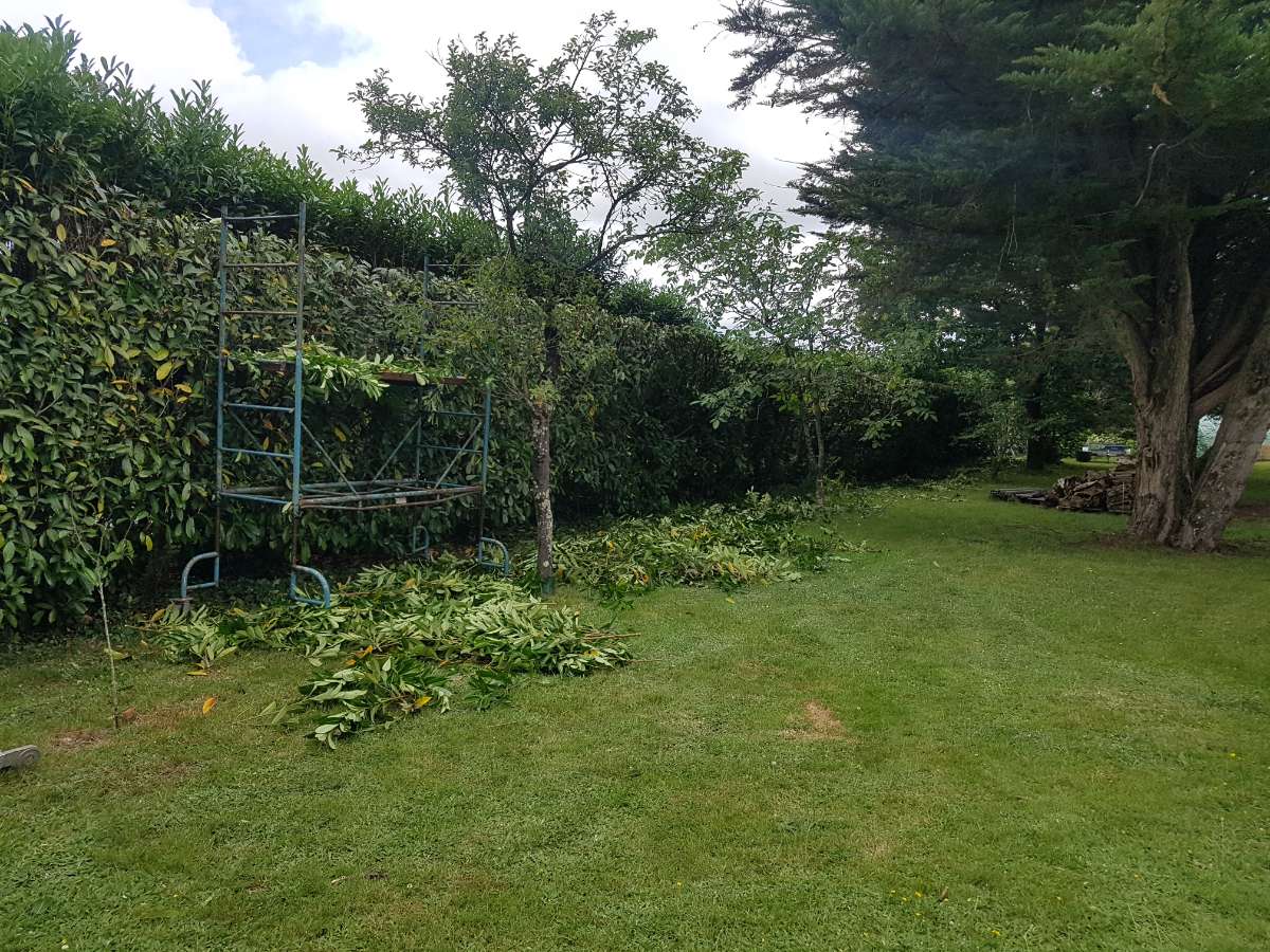 entretien-espace-vert (4)
